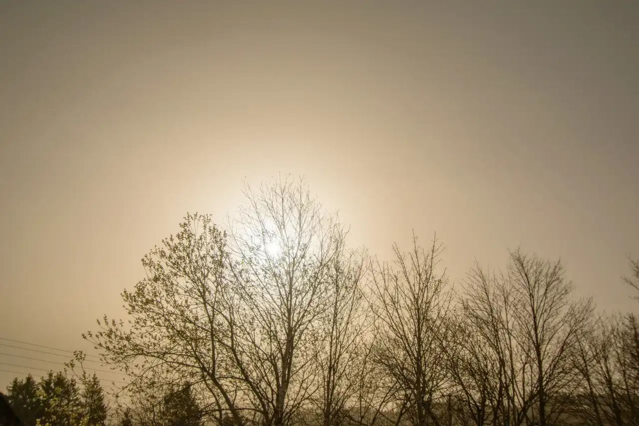 Deutschlandwetter im März 2024